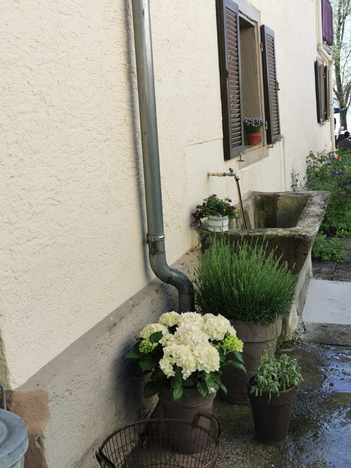 Nußdorf am Bodensee