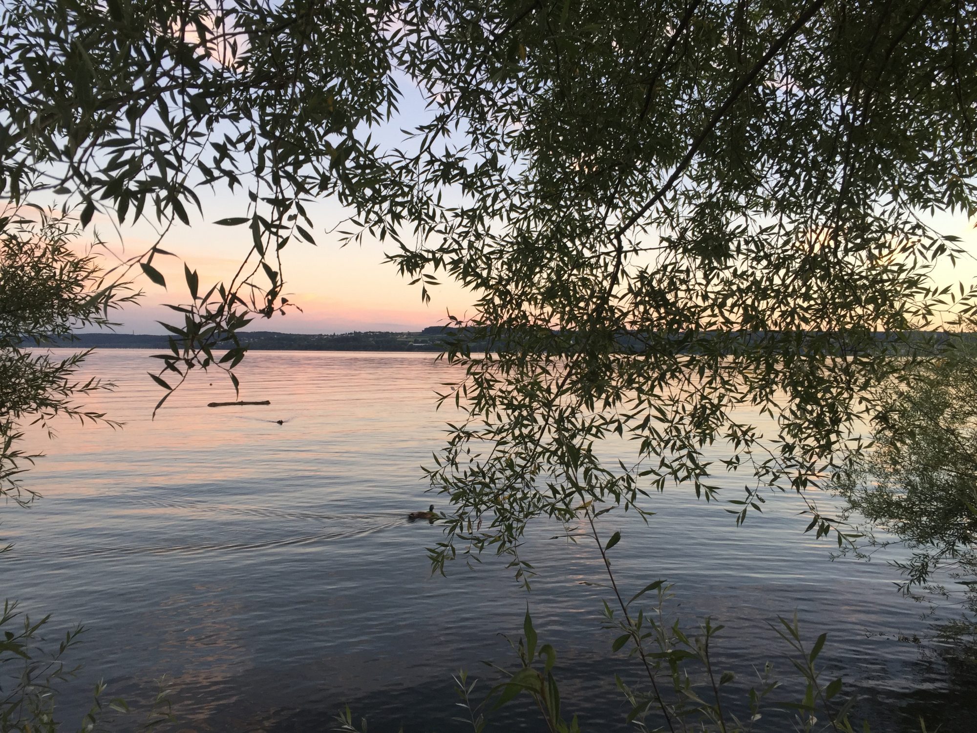 Nußdorf am Bodensee