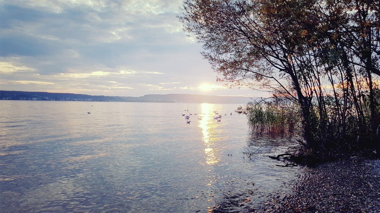 Nußdorf am Bodensee