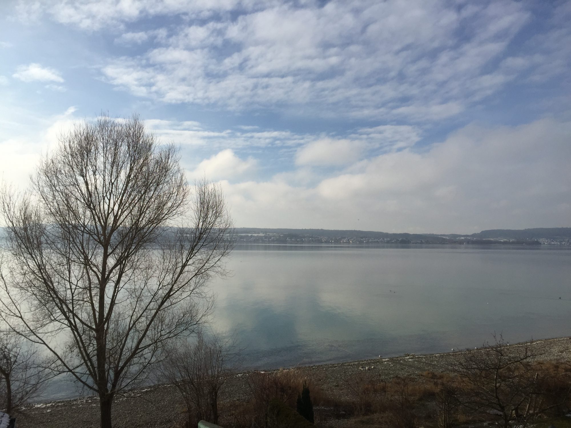 Nußdorf am Bodensee
