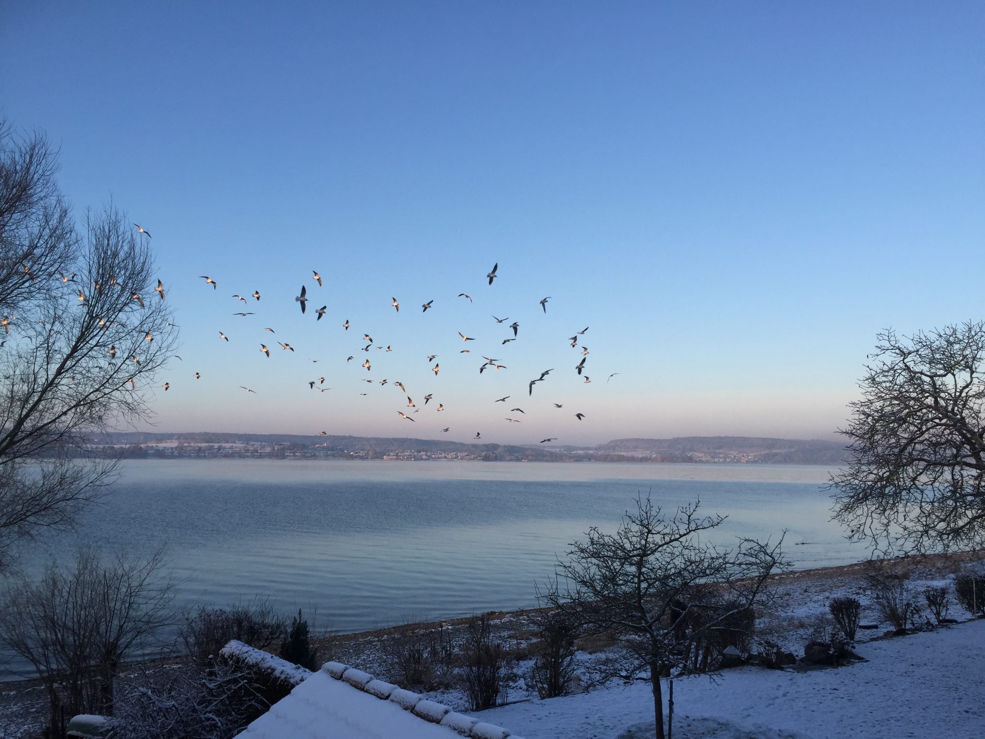 Nußdorf am Bodensee