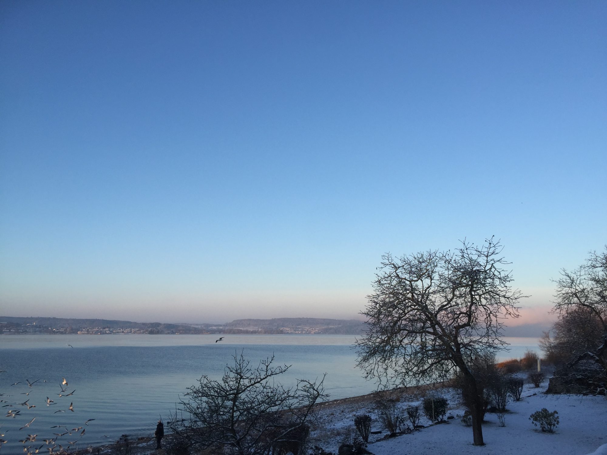 Nußdorf am Bodensee