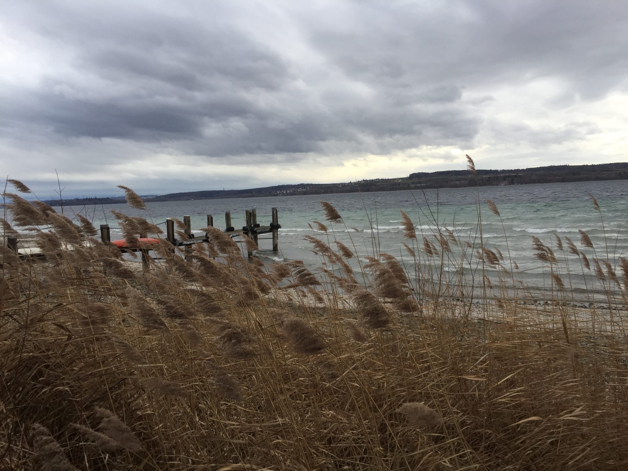 Nußdorf am Bodensee