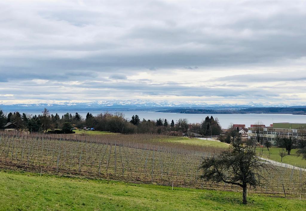 Nußdorf am Bodensee