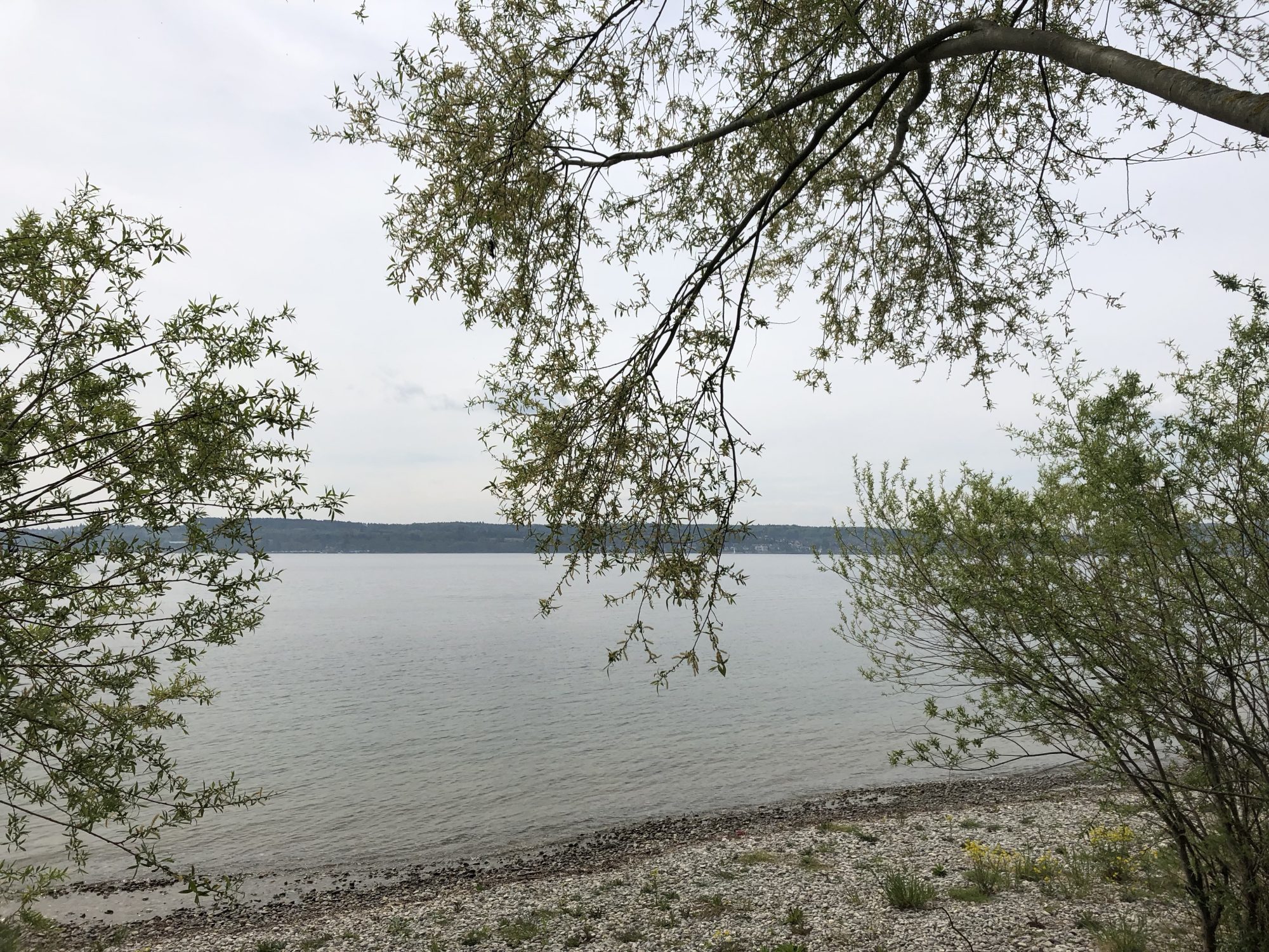 Nußdorf am Bodensee