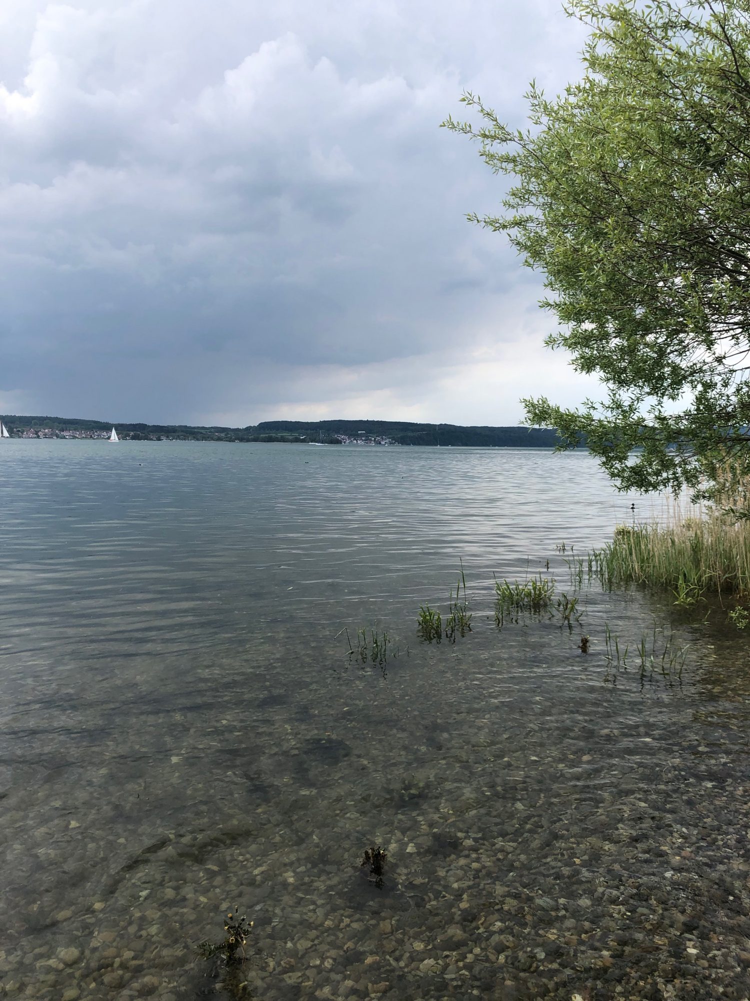 Nußdorf am Bodensee
