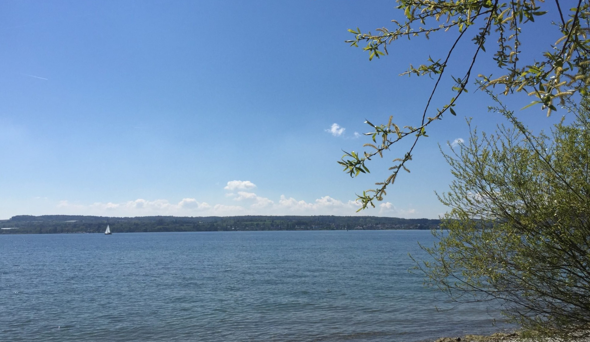 Das Bauernhaus am See in Nußdorf am Bodensee