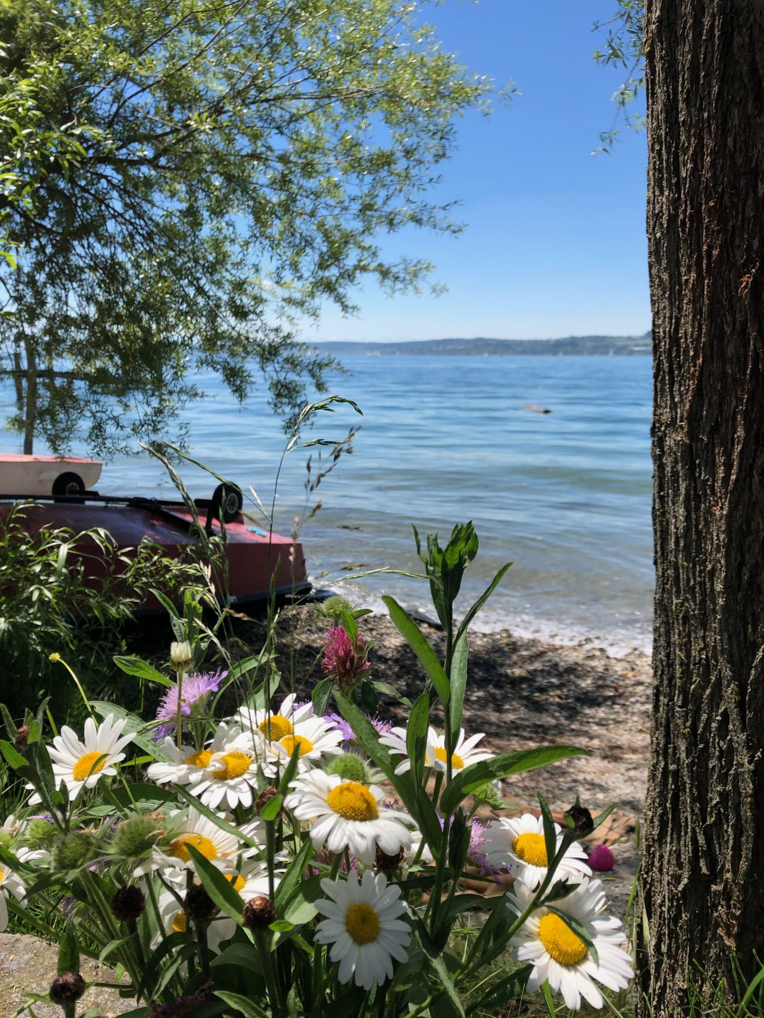 Privater Seezugang